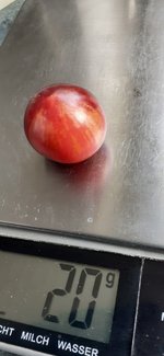 20240626_181608.jpg