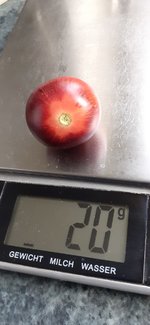 20240626_181635.jpg