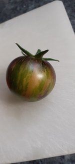 20240626_181747.jpg