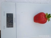 IMG_20240626_204952.jpg