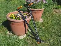 2011Scherenstorch.webp