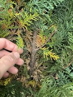 IMG_3030.jpeg