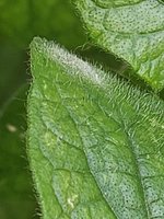 20240627_184738.JPG