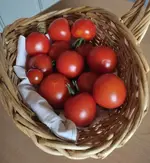 Tomten 27.6.24.webp