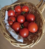 Tomten 27.6.24.jpg