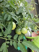 20240628_095855.webp