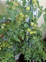20240628_095909.jpg