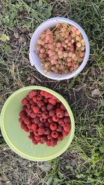 IMG_0432.jpeg