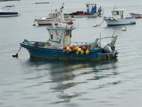 P1050090Golf von Morbihan.JPG