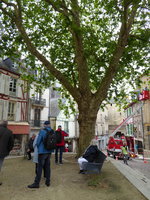 P1050238Vannes.JPG