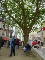 P1050238Vannes.webp