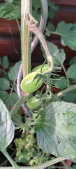 20240629_072043.jpg