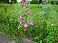 DSC03558.webp
