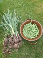 IMG_20240628_111401.webp