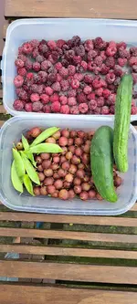 20240630_124604.webp 20240630_124604.webp