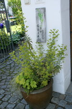 Empfangskomitee 0220.JPG