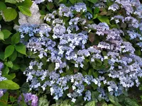 IMG_20240630_131709.webp IMG_20240630_131709.webp