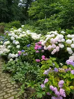 IMG_20240630_131717.webp IMG_20240630_131717.webp