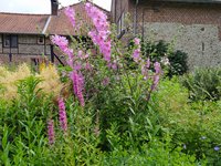 IMG_20240630_131852.jpg