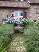 IMG_20240630_133144.webp IMG_20240630_133144.webp