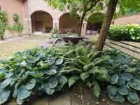 IMG_20240630_135500.webp IMG_20240630_135500.webp