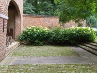IMG_20240630_135533.jpg