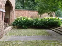 IMG_20240630_135533.webp IMG_20240630_135533.webp