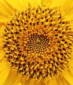 IMG_20210820_162618.webp