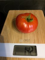 PXL_20240630_161857813.jpg