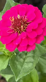 IMG_0495.jpeg