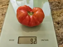 20240630_203605.jpg