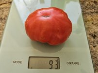 20240630_203545.jpg