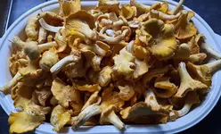 20240630_180602.webp 20240630_180602.webp