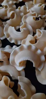 20240701_120726.webp 20240701_120726.webp