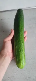 20240701_191729.jpg