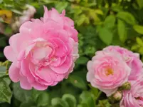 20240630_231713.webp