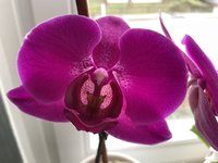 IMG_0409.jpeg