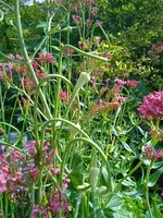 IMG_20240701_090759_1.webp