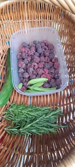 20240703_121759.webp
