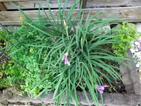 IMG_20240703_113036_1.webp