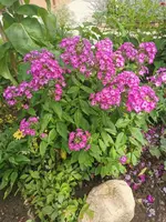 IMG_20240630_093610.webp