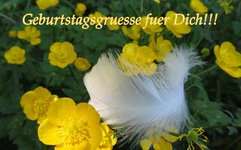 Copy of IMG_3666.JPG