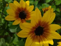 IMG_20230823_112359.webp