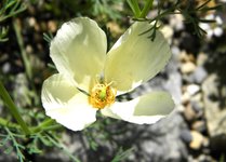 DSCN8773.JPG
