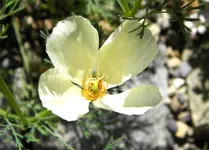 DSCN8773.webp