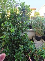 IMG_20240617_080800.jpg