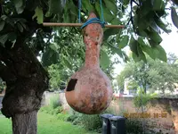 Kalebasse Futter.webp