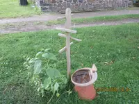 Landeplatz Vögel.webp