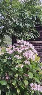 20240704_180005.webp