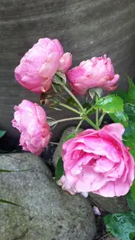 20240701_102024.webp